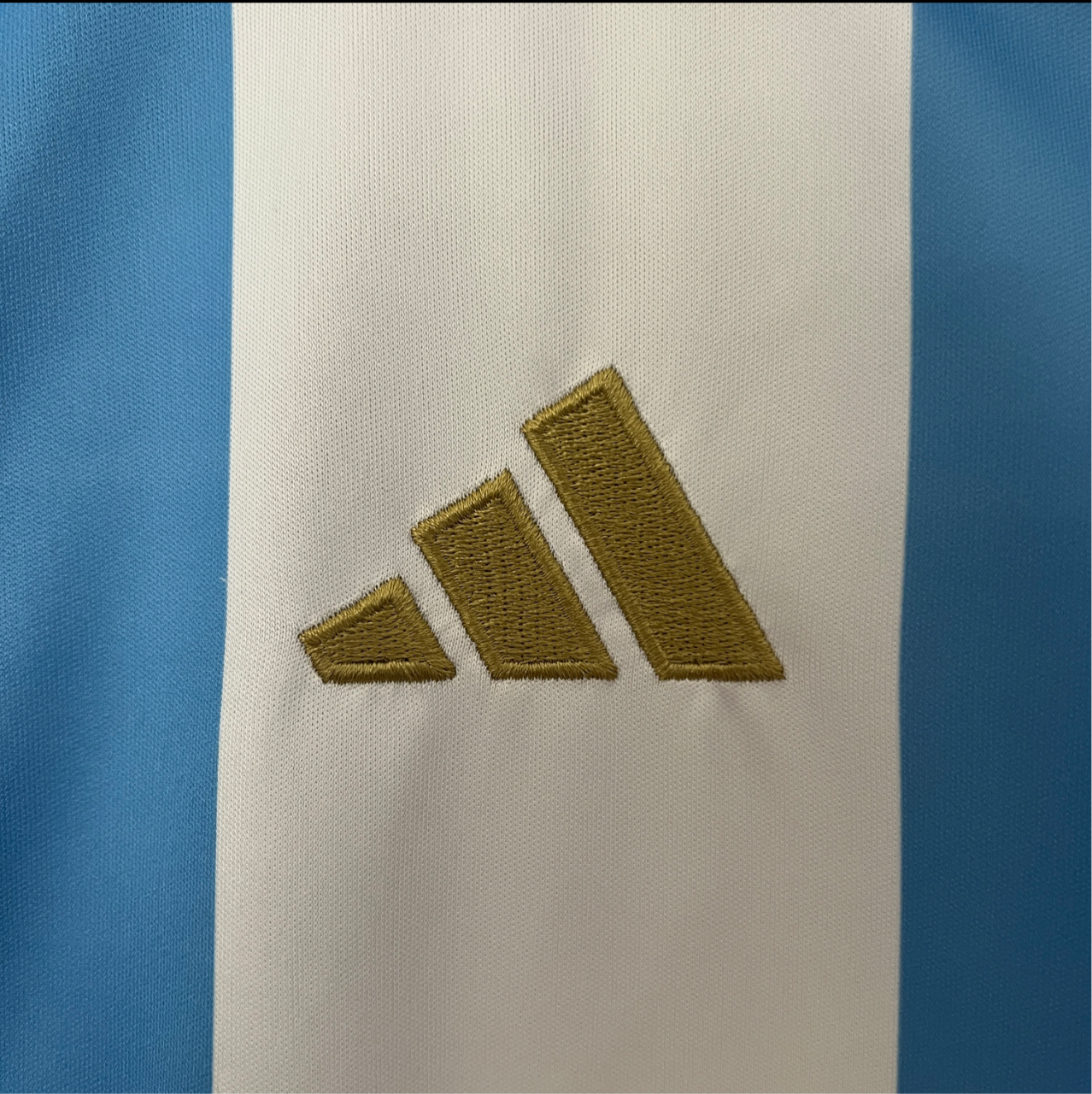 Maillot d'Argentine femme domicile 2024