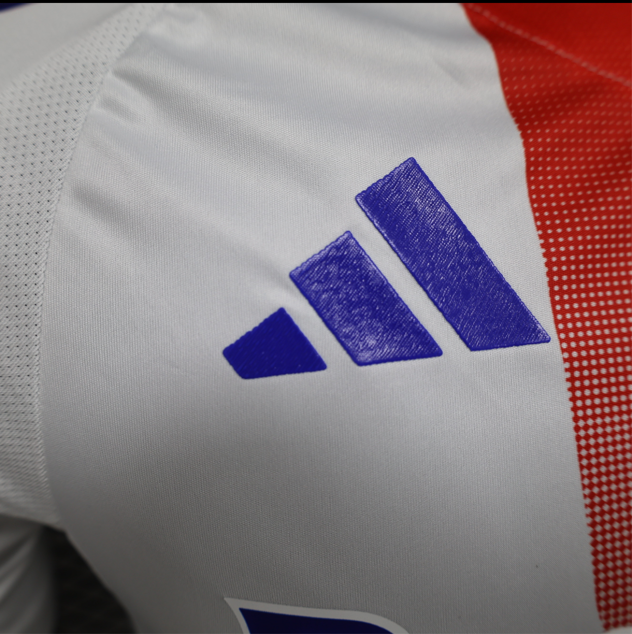 24/25 player Lyon domicile