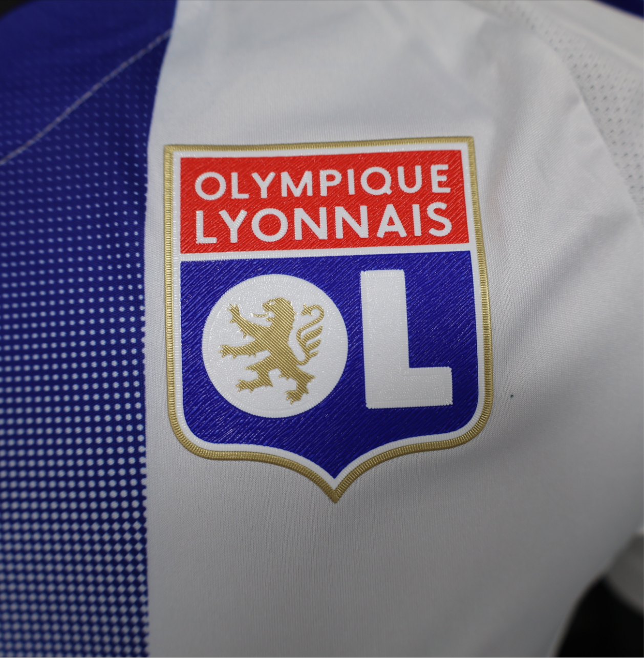 24/25 player Lyon domicile