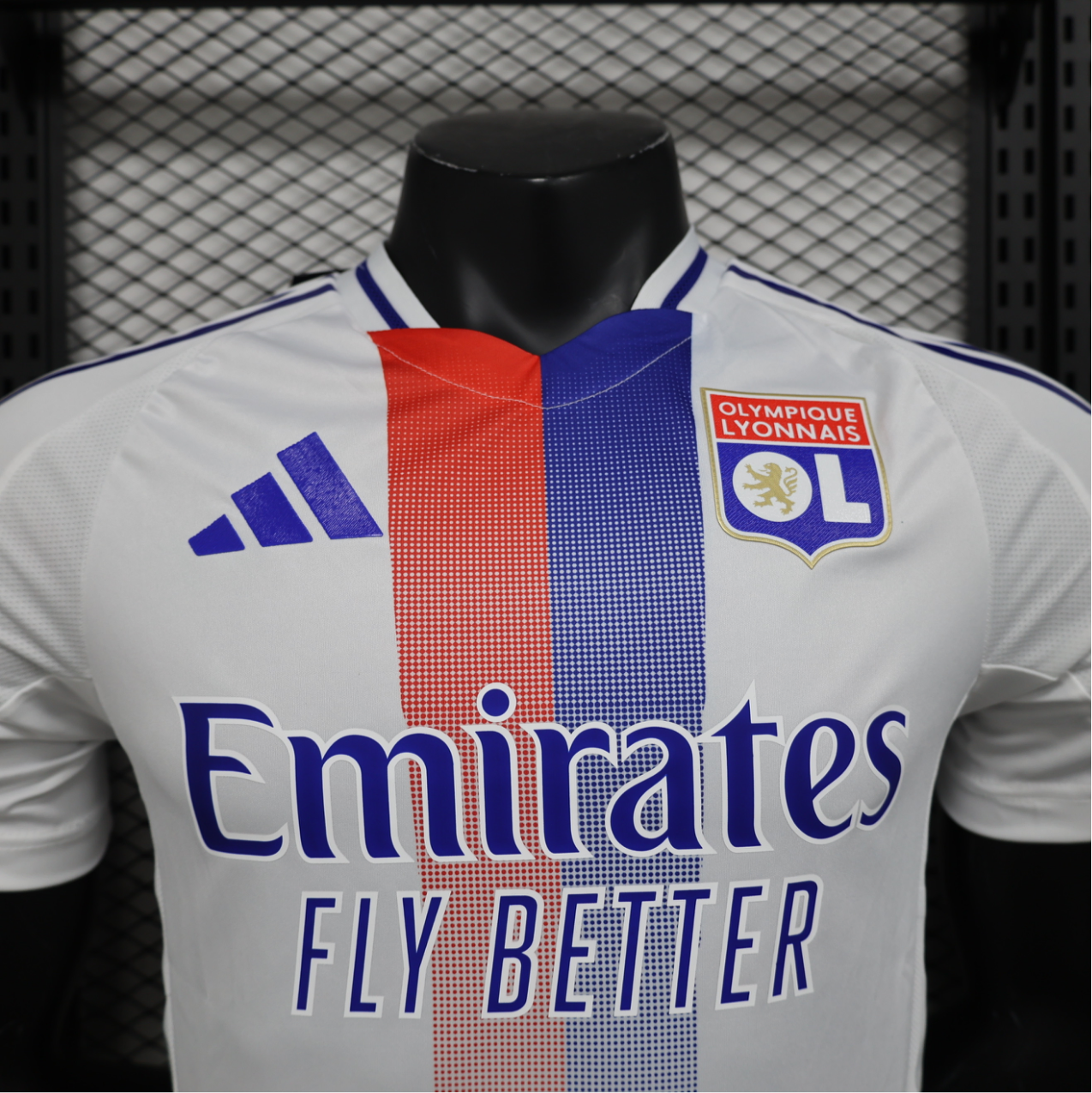 24/25 player Lyon domicile