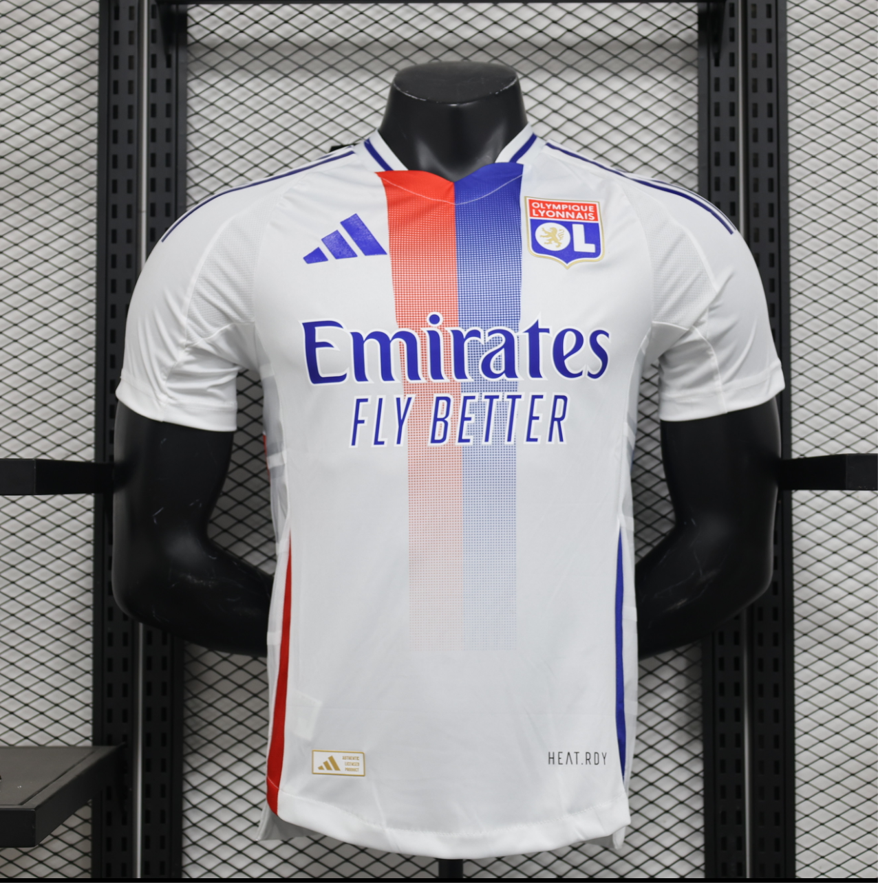 24/25 player Lyon domicile