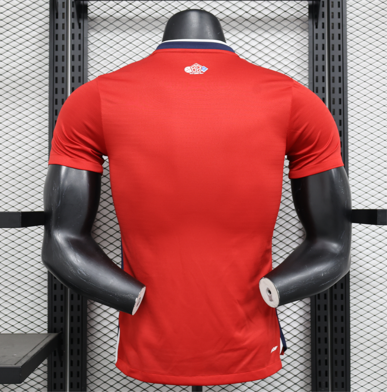 Maillot de Lille player domicile 24/25